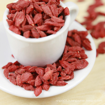 Longévité Fruit Médecine Traditionnelle Chinoise - Berry Séché De Goji